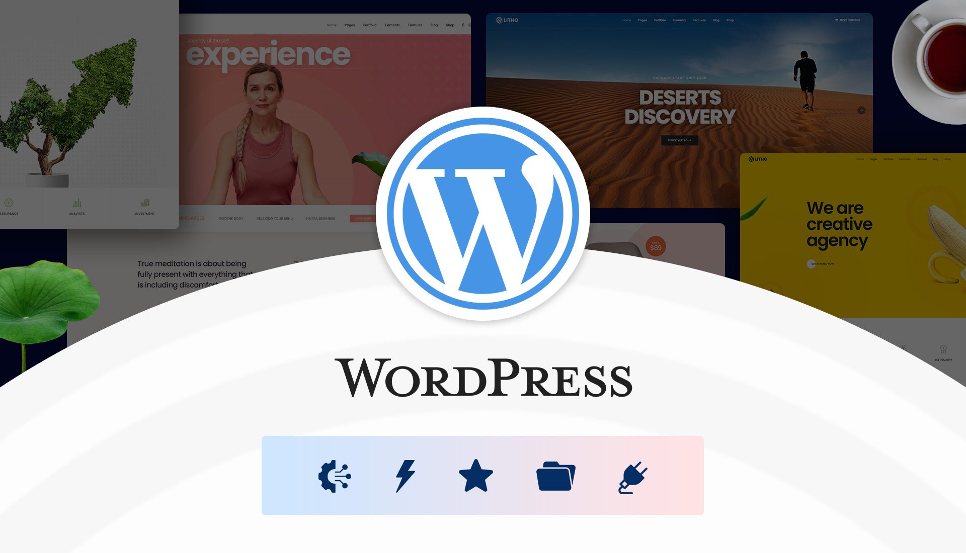 Wordpress Features offered by Plenitude IT